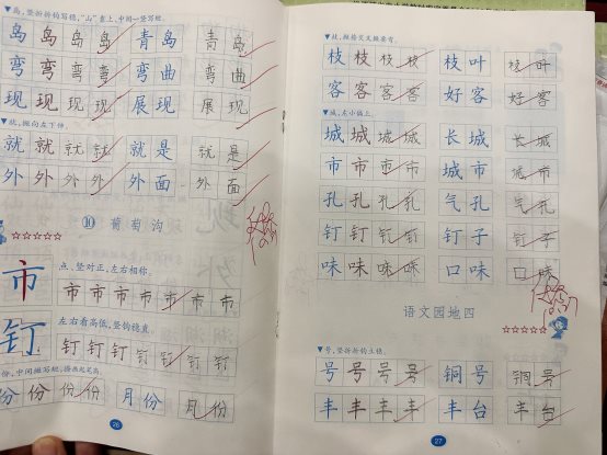 IMG_4108(20251101-121045)