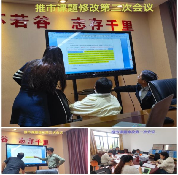 Collage_20251104_163234